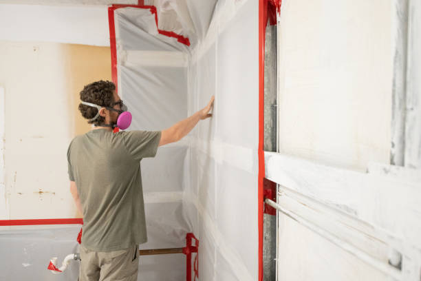 Best Mold-Related Health Consultation  in Choccolocco, AL