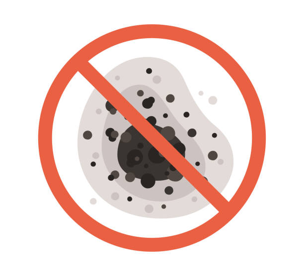 Best Indoor Air Quality Assessment  in Choccolocco, AL