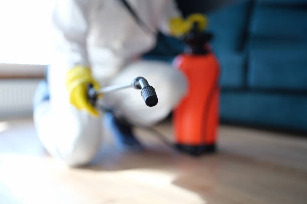 Best Comprehensive Air Testing for Mold Contaminants  in Choccolocco, AL